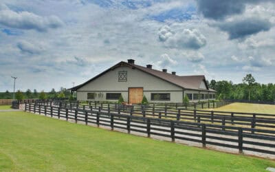 Metal Barns: A Modern Solution for Agricultural Storage & Livestock